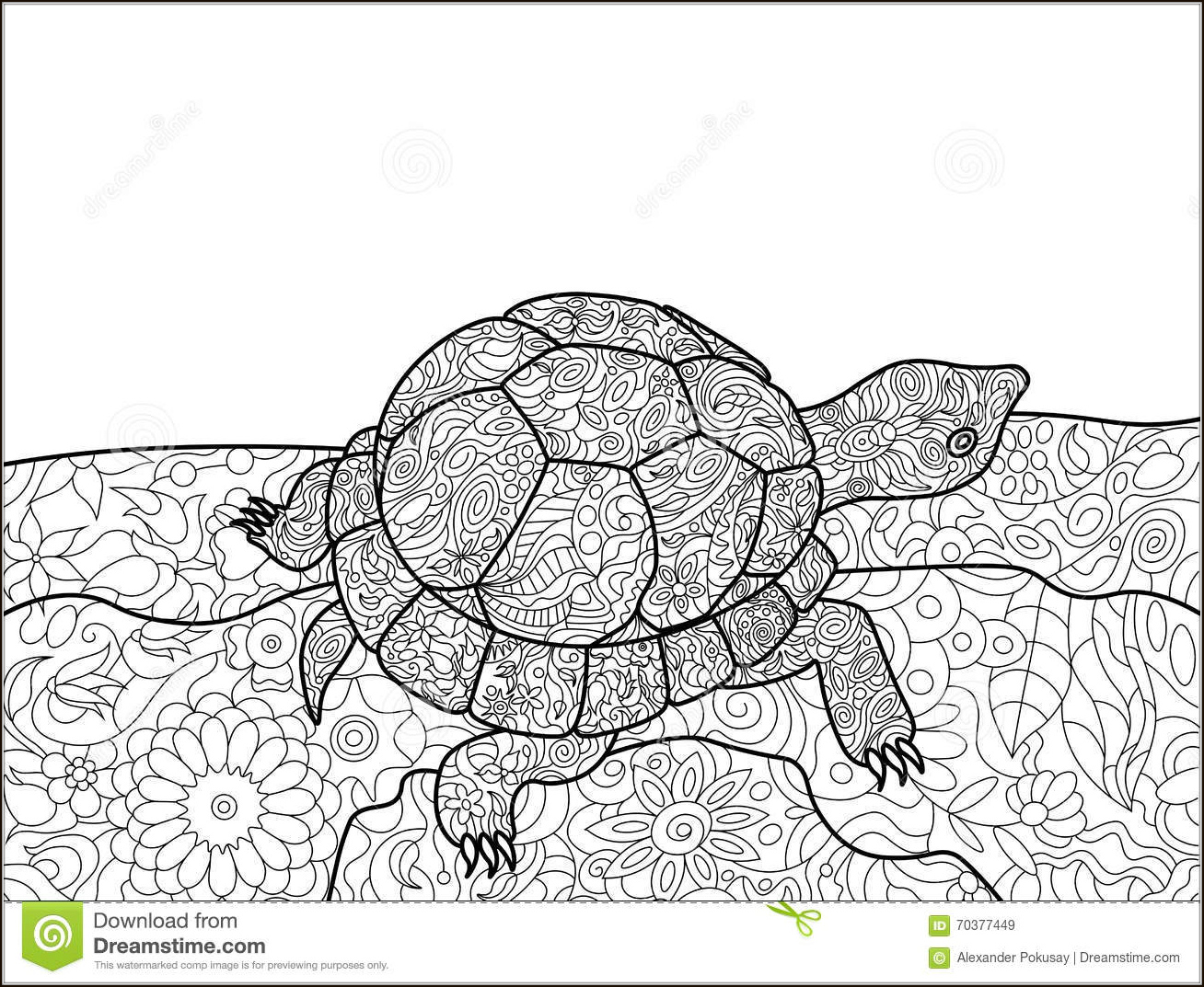 Coloring for adults, Coloring Antistress, тварини, travel, sophisticated coloring antistress,  животные, turtle,animals